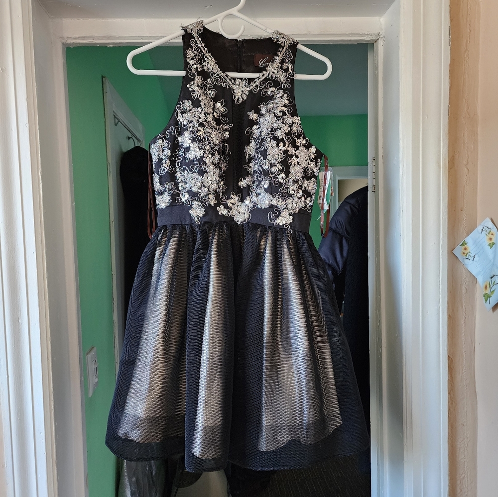 Camille deep vx black mesh tiered fit and flare dress.